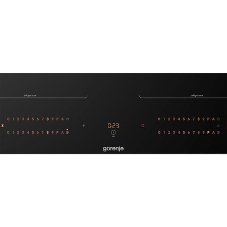 Gorenje GI6443BSCWF